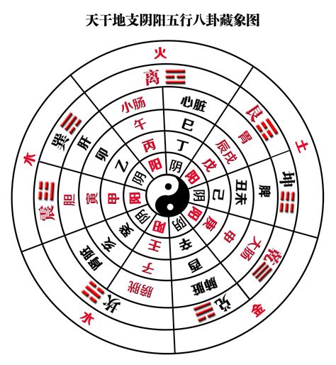 八卦对应五行|八卦图全解析